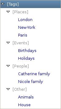 tags_list